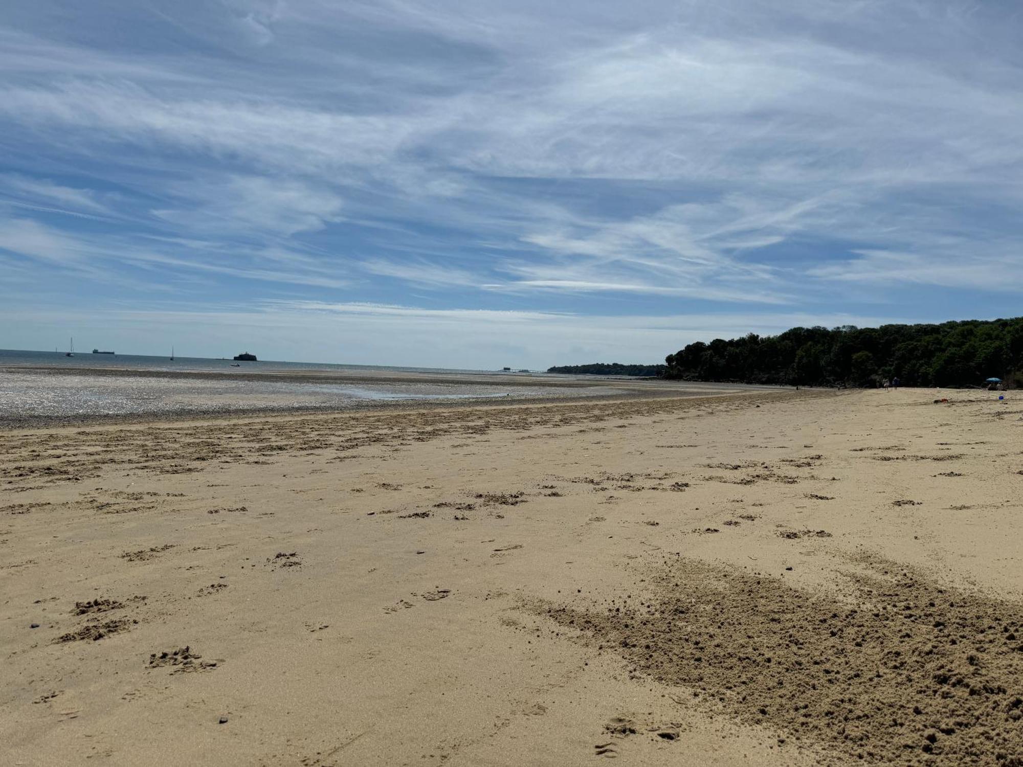 Trafalgar, Lovely Ground Floor Flat With Outside Patio Garden, Minutes Walk To Seafront 海景城 外观 照片